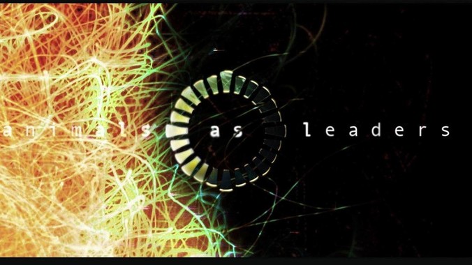 你们学校的校花都是怎么样的？